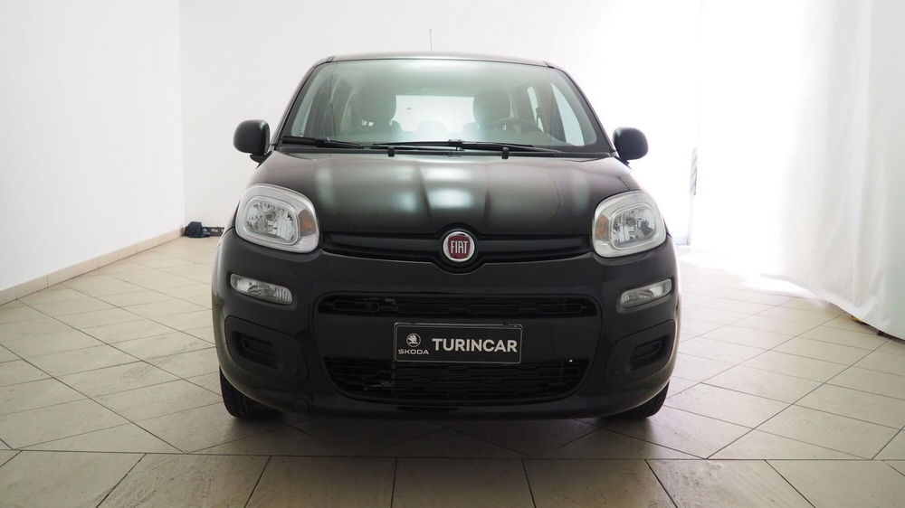 Fiat Panda Cross usata a Torino (2)