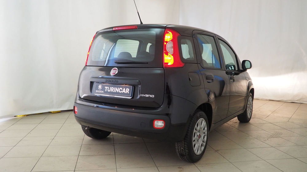 Fiat Panda Cross usata a Torino (20)