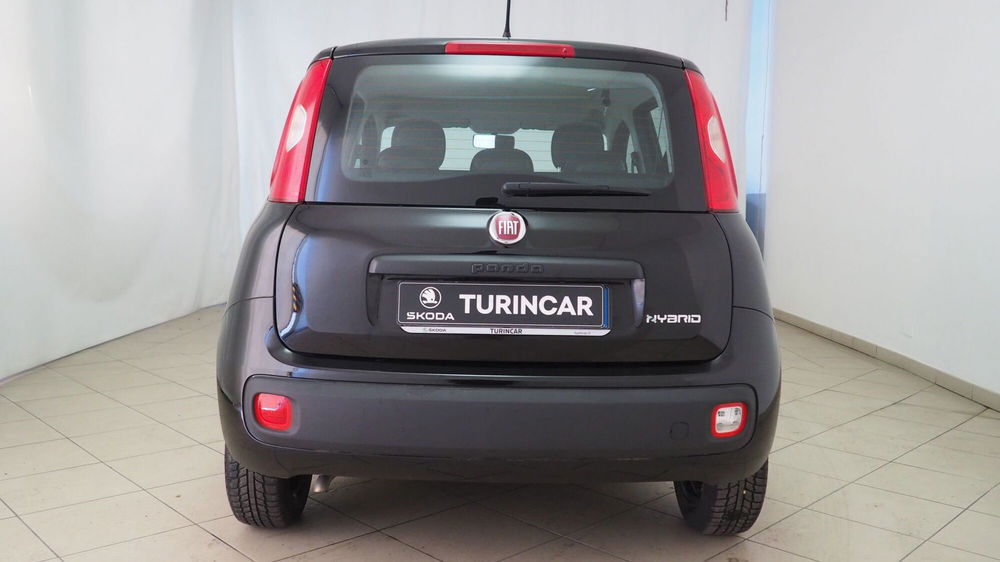 Fiat Panda 1.0 FireFly S&S Hybrid Easy del 2022 usata a Torino (5)