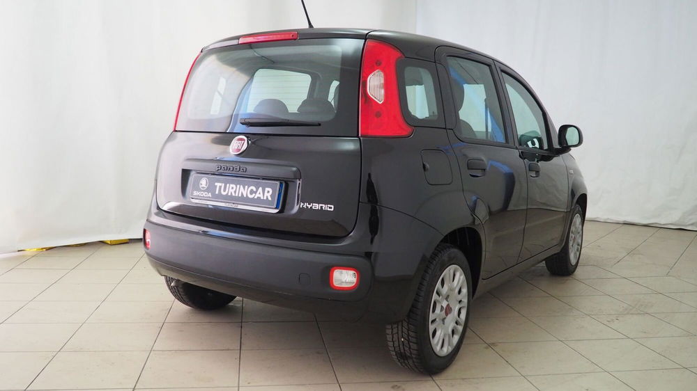 Fiat Panda Cross usata a Torino (6)