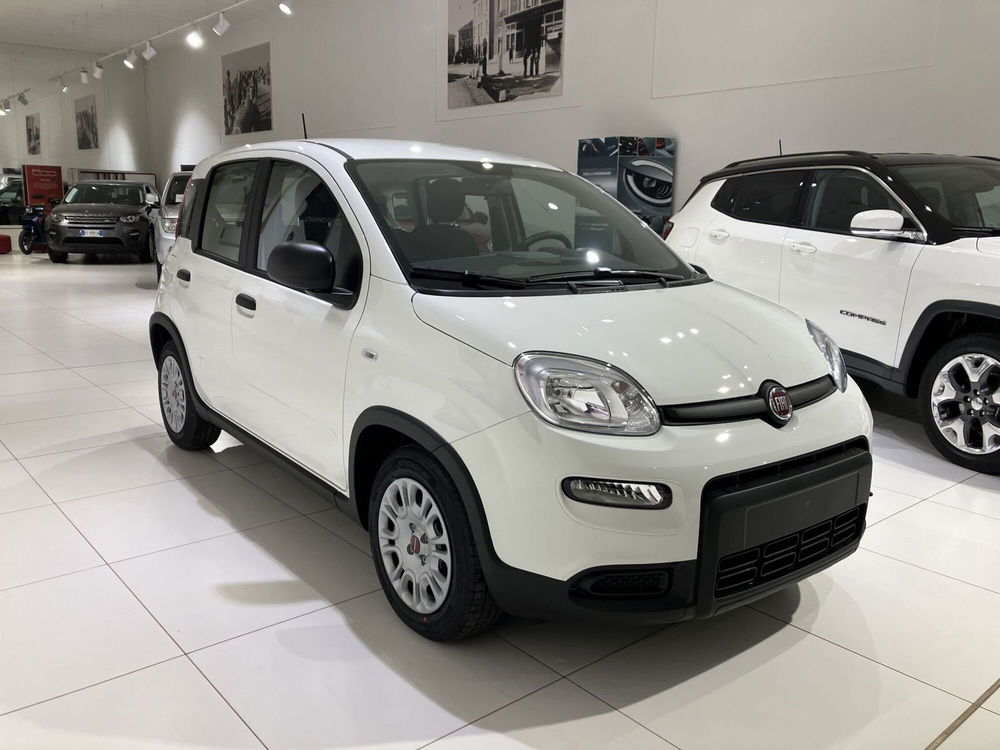 Fiat Panda 1.0 FireFly S&S Hybrid Easy nuova a Fornovo di Taro (3)