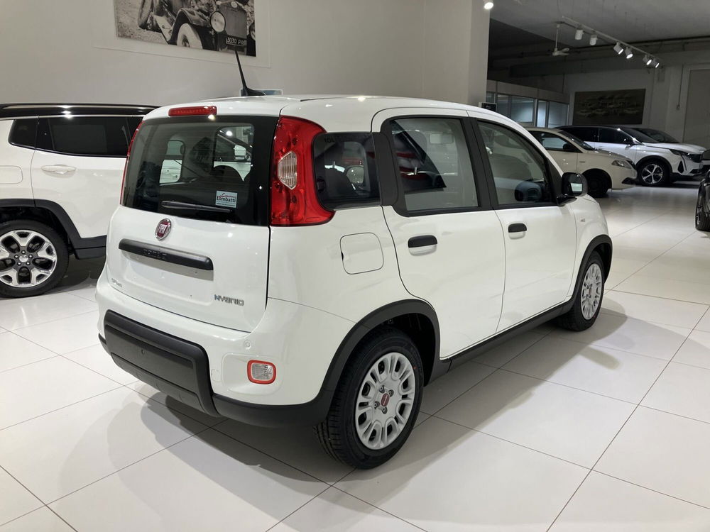 Fiat Panda Cross nuova a Parma (6)