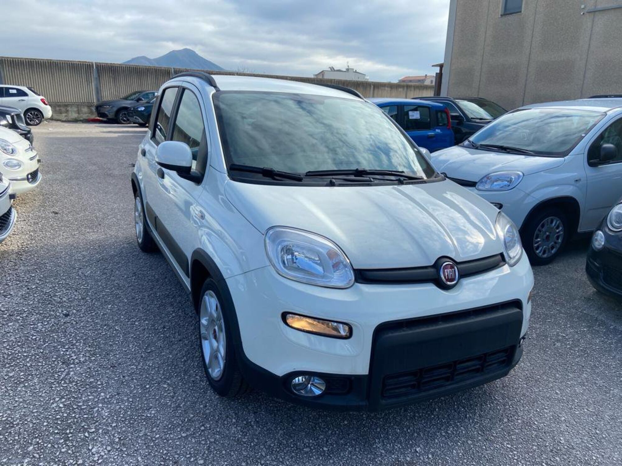 Fiat Panda 1.0 firefly hybrid s&amp;s 70cv 5p.ti nuova a Caserta