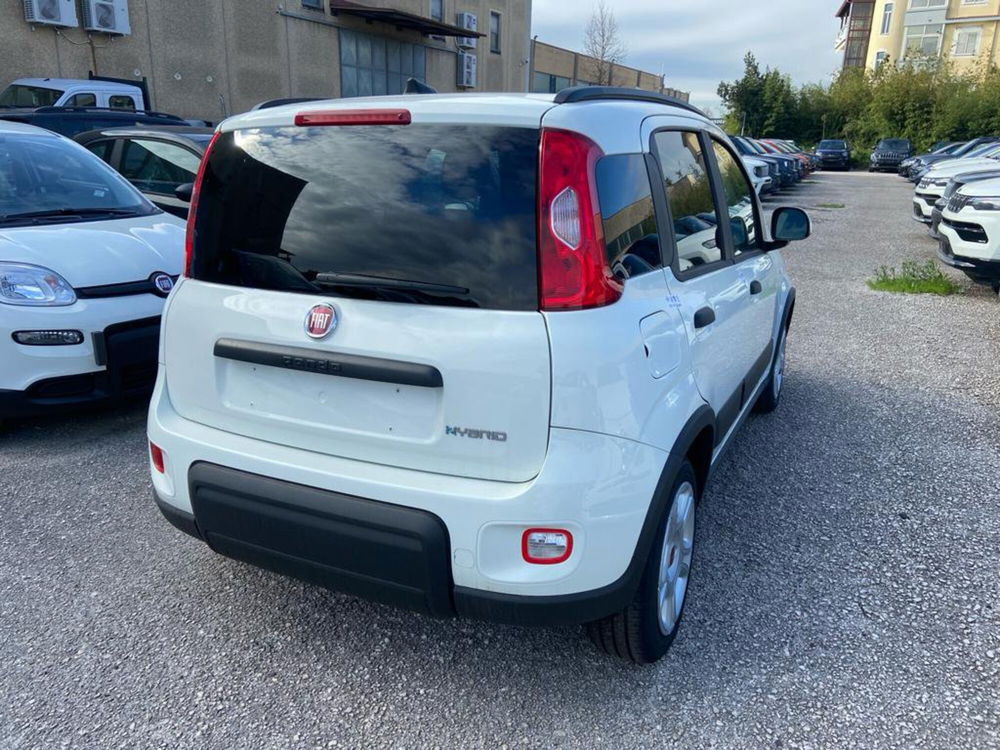 Fiat Panda Cross nuova a Caserta (6)