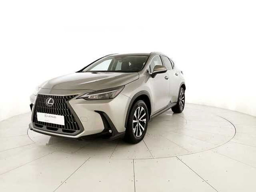 Lexus NX usata a Chieti