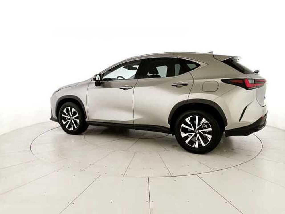 Lexus NX Plug-in 4WD Premium del 2022 usata a San Giovanni Teatino (2)