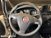 Fiat Punto Evo 1.3 Mjt 75 CV DPF 5 porte S&S Active del 2011 usata a Bastia Umbra (14)