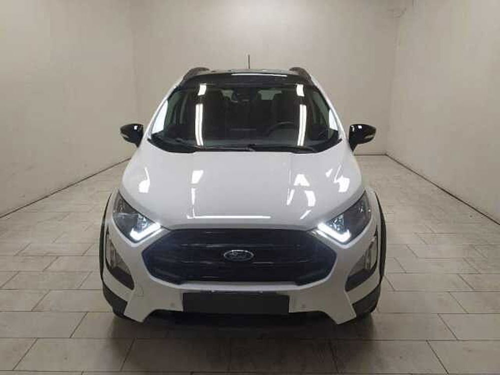 Ford EcoSport 1.0 EcoBoost 125 CV Start&Stop Active del 2021 usata a Cuneo (2)