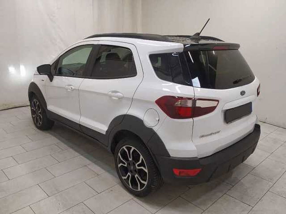 Ford EcoSport usata a Cuneo (6)