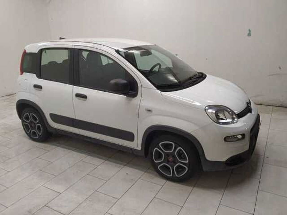 Fiat Panda usata a Cuneo (3)