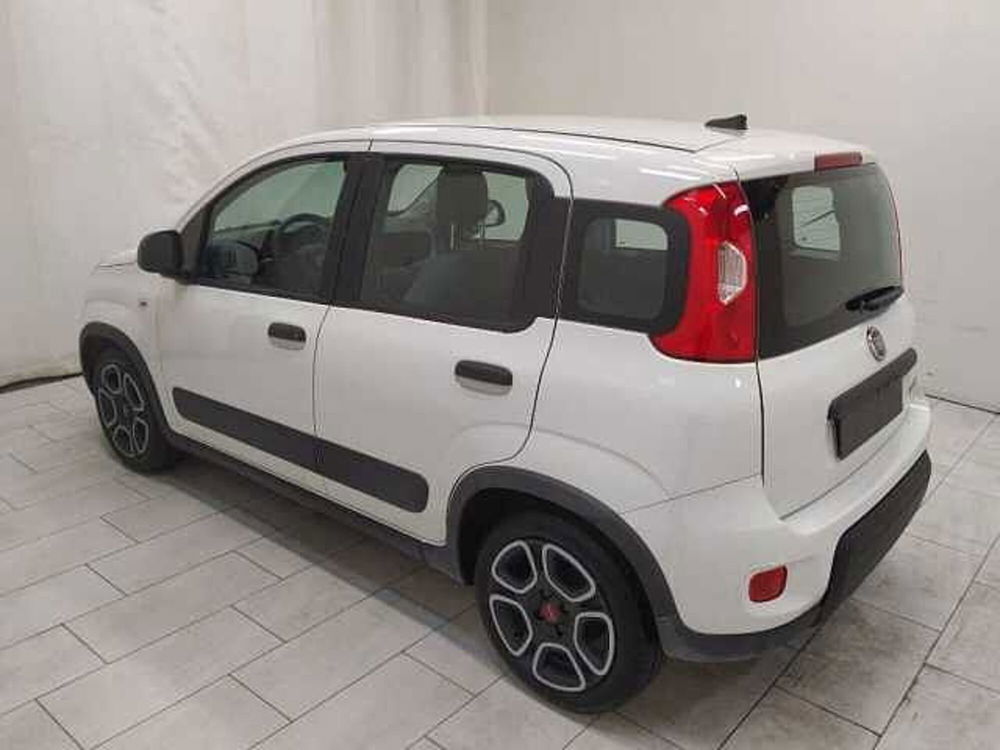 Fiat Panda usata a Cuneo (6)