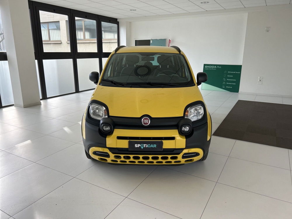 Fiat Panda usata a Arezzo (5)