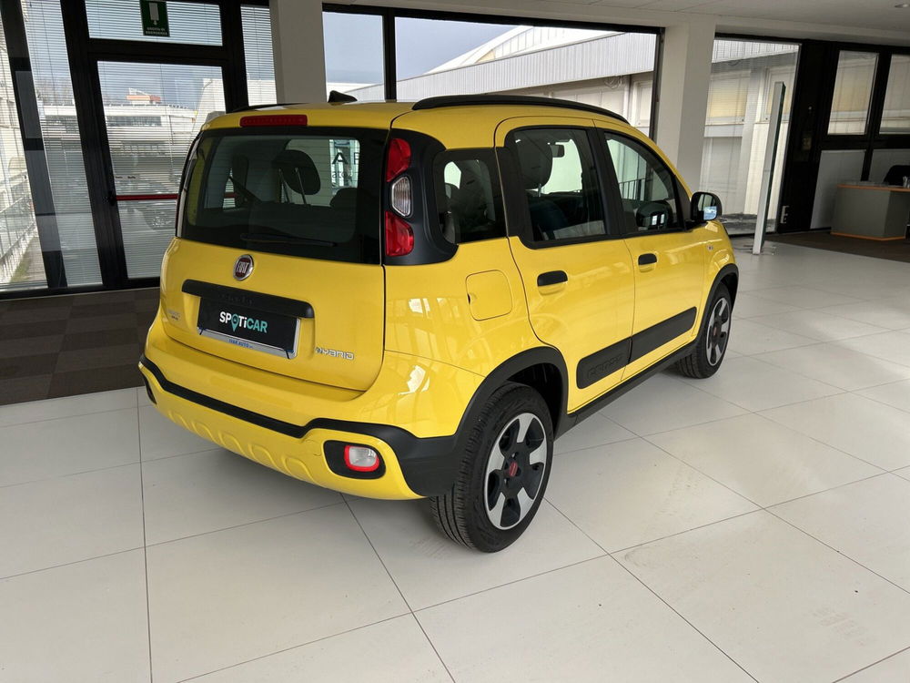 Fiat Panda usata a Arezzo (6)