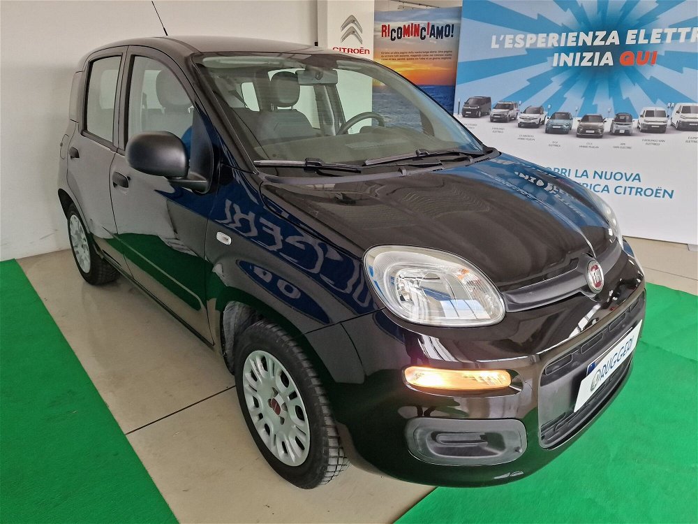 Fiat Panda 1.2 EasyPower Easy  del 2019 usata a Rimini (5)
