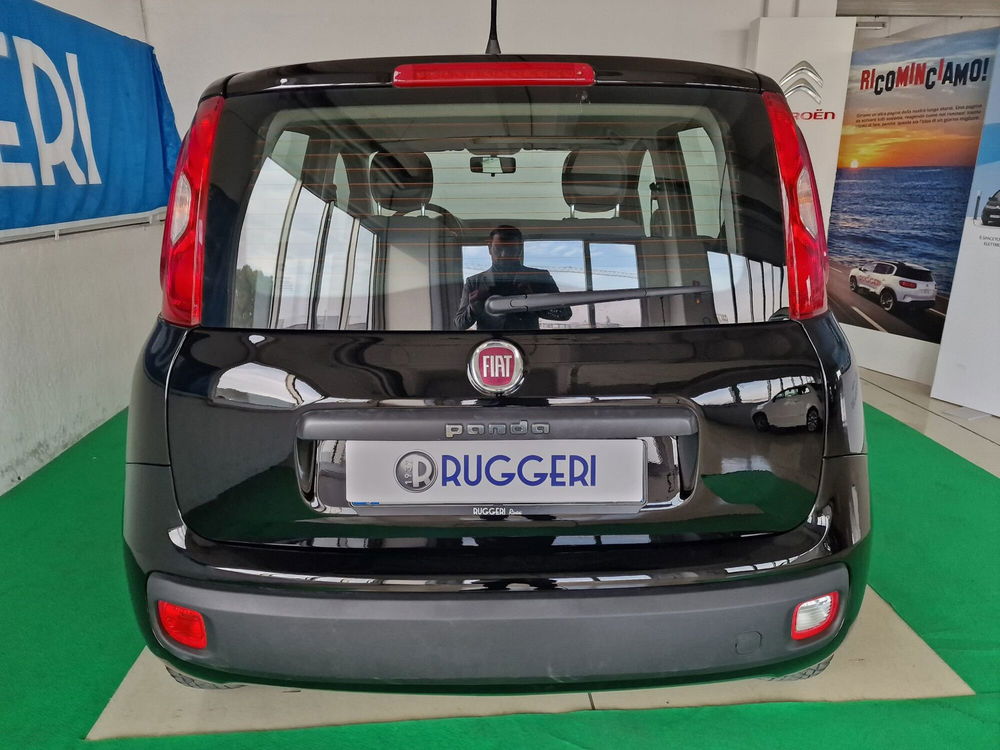 Fiat Panda usata a Rimini (7)