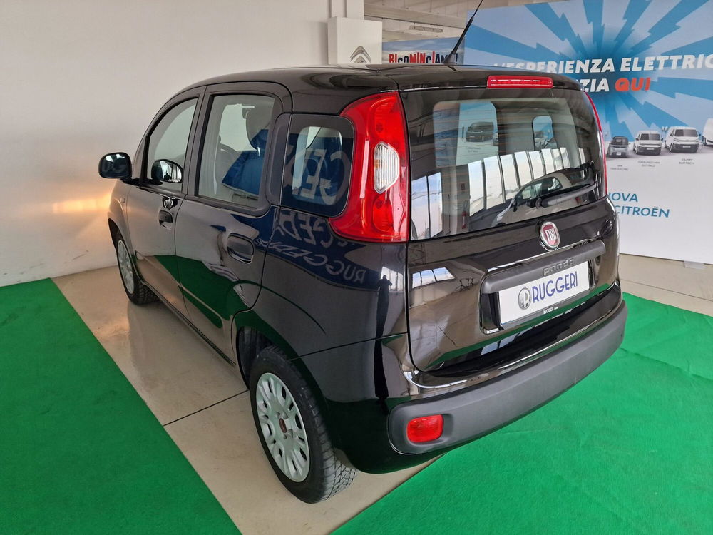 Fiat Panda usata a Rimini (8)