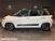 Fiat 500L 1.3 Multijet 85 CV Opening Edition del 2012 usata a Bastia Umbra (8)