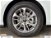 Ford Focus Station Wagon 1.0 EcoBoost 125 CV automatico SW Business nuova a Albano Laziale (14)