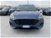 Ford Kuga Kuga 1.5 ecoboost ST-Line 2wd 150cv del 2023 usata a Poggibonsi (8)