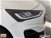 Ford Focus Station Wagon 1.0 EcoBoost 125 CV automatico SW Business nuova a Roma (13)