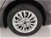 Ford Focus Station Wagon 1.0 EcoBoost 125 CV Start&Stop SW Titanium  del 2019 usata a Torino (10)
