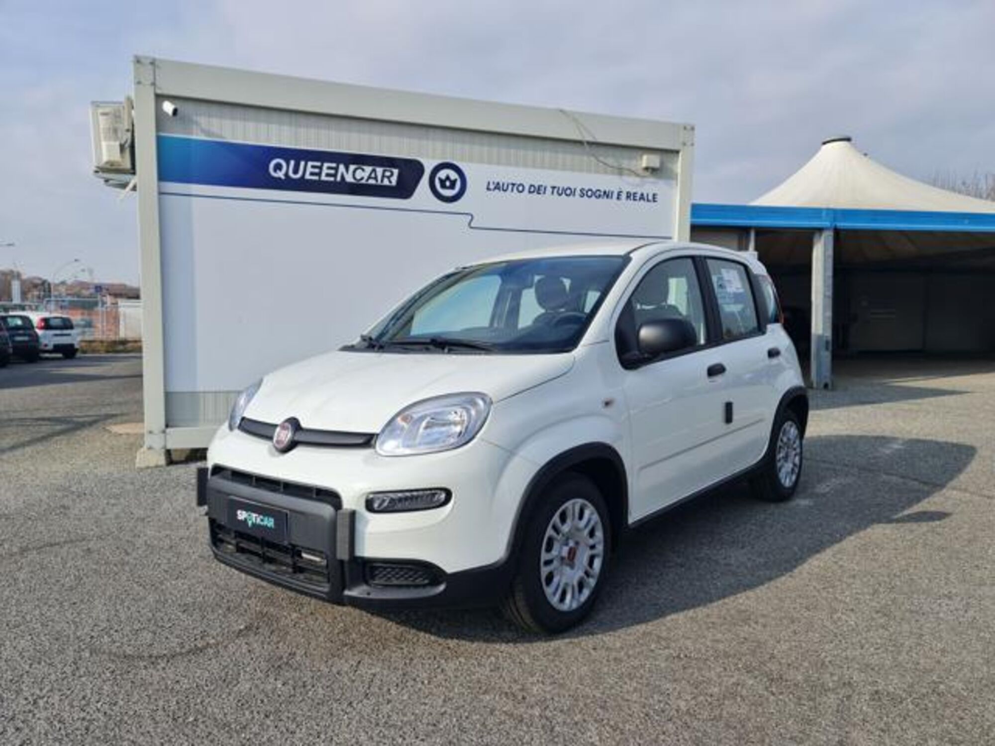 Fiat Panda 1.0 firefly hybrid s&amp;s 70cv 5p.ti nuova a Pianezza