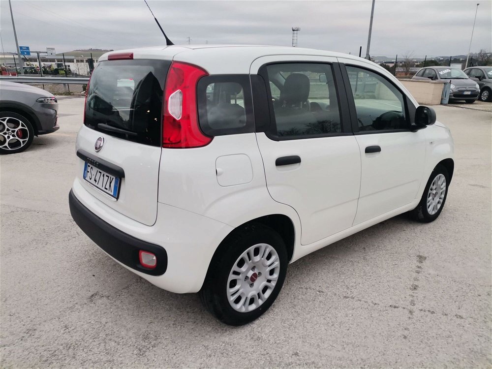 Fiat Panda 1.2 EasyPower Easy  del 2019 usata a Matera (5)