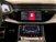 Audi Q8 Q8 50 TDI 286 CV quattro tiptronic  del 2023 usata a Castenaso (9)