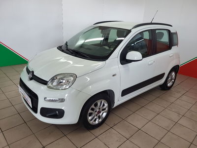 Fiat Panda 1.2 EasyPower Easy  del 2014 usata a Terranuova Bracciolini