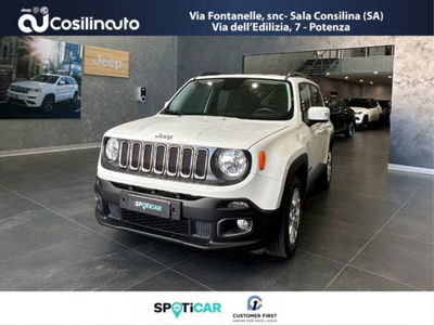 Jeep Renegade 1.6 E-TorQ EVO Sport  del 2017 usata a Sala Consilina