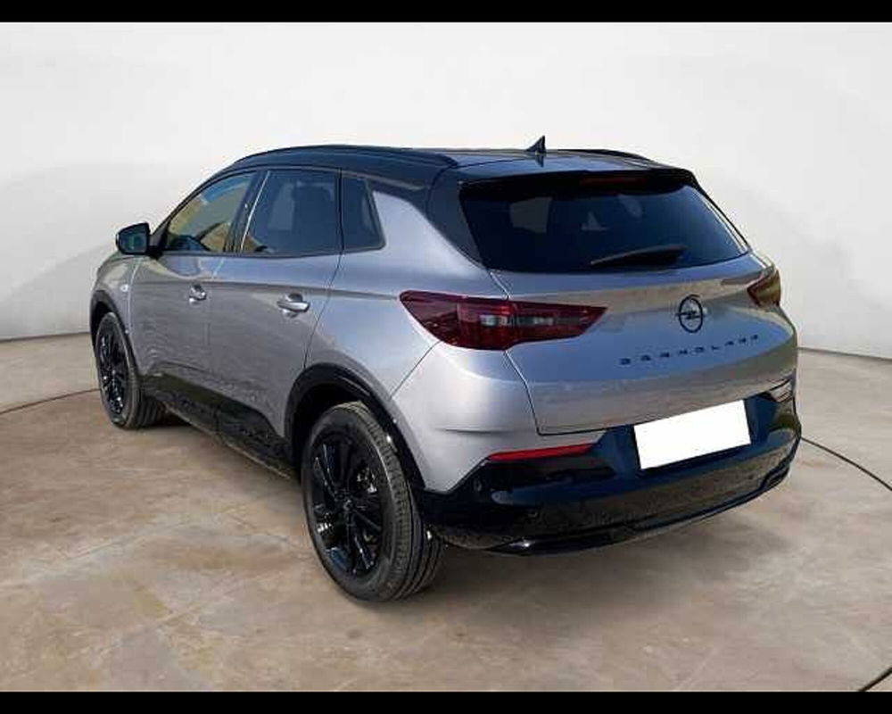 Opel Grandland X usata a Cremona (5)