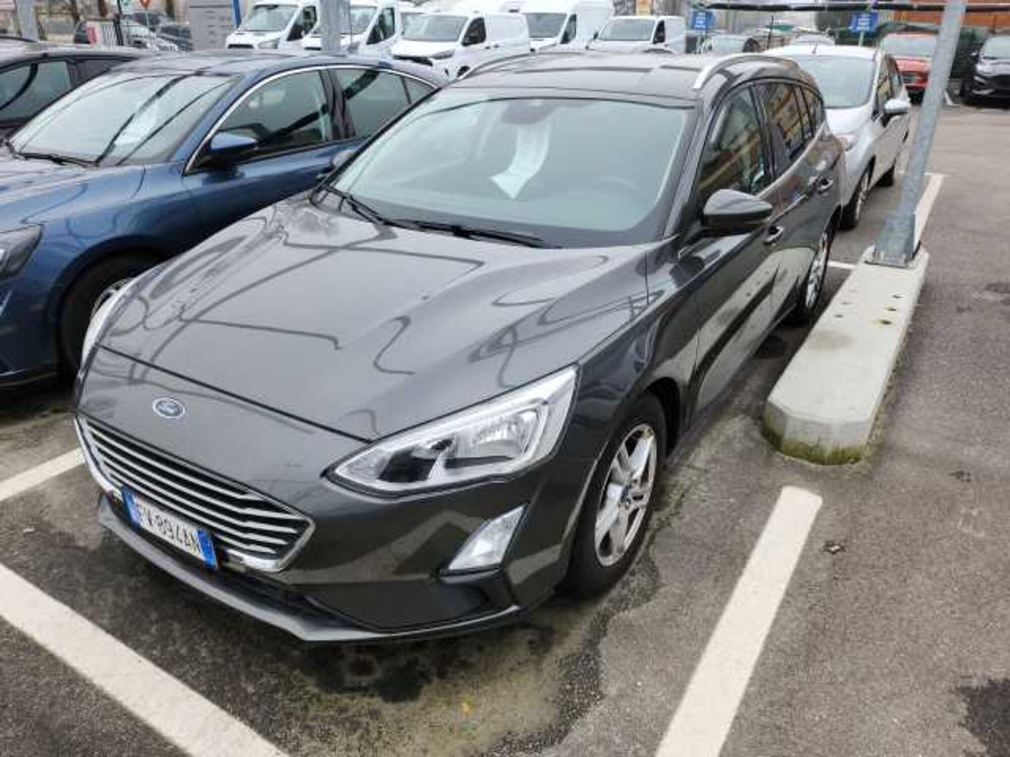 Ford Focus Station Wagon 1.5 EcoBlue 120 CV automatico SW Business  del 2019 usata a Bologna