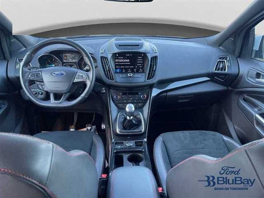 Ford Kuga 1.5 TDCI 120 CV S&S 2WD ST-Line  del 2019 usata a Livorno (5)