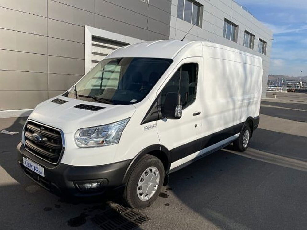 Ford Transit Custom Furgone usata a Cuneo (3)