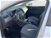 SEAT Ibiza 1.0 ecotsi Anniversary-Limited Edition 95cv del 2019 usata a Roma (15)