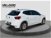 SEAT Ibiza 1.0 ecotsi Anniversary-Limited Edition 95cv del 2019 usata a Roma (9)