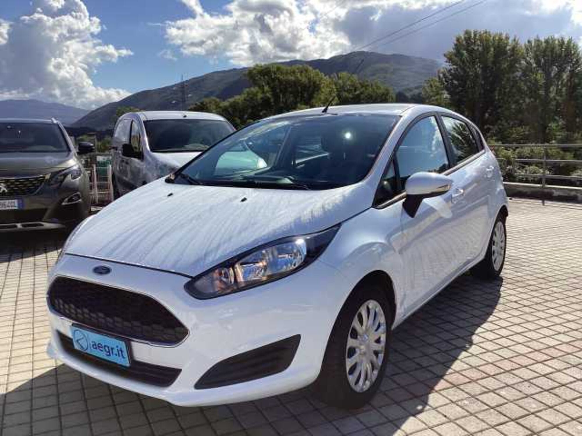 Ford Fiesta Plus 1.5 TDCi 95CV 5 porte del 2018 usata a Castel Madama