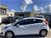 Ford Fiesta Plus 1.5 TDCi 95CV 5 porte del 2018 usata a Castel Madama (7)
