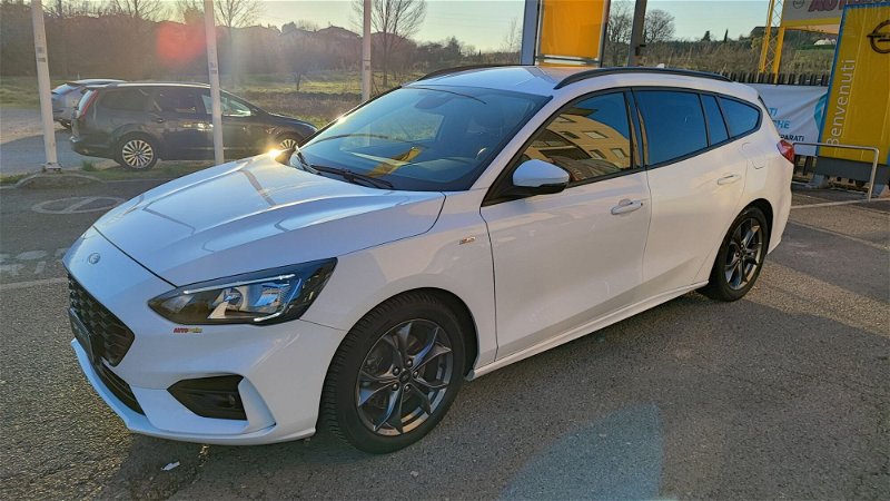 Ford Focus Station Wagon 1.5 TDCi 120 CV Start&Stop SW ST Line  del 2019 usata a Buggiano