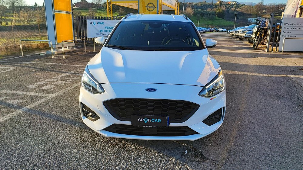 Ford Focus Station Wagon 1.5 TDCi 120 CV Start&Stop SW ST Line  del 2019 usata a Buggiano (2)