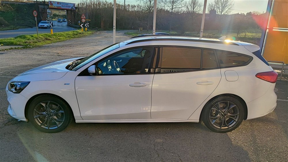 Ford Focus Station Wagon 1.5 TDCi 120 CV Start&Stop SW ST Line  del 2019 usata a Buggiano (3)