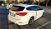 Ford Focus Station Wagon 1.5 TDCi 120 CV Start&Stop SW ST Line  del 2019 usata a Buggiano (6)