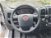 Fiat Ducato Furgone vetrato 33 2.3 MJT 130CV PLM-TM Furgone Vetrato  del 2016 usata a Terranuova Bracciolini (7)