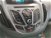 Ford B-Max B-Max 1.5 TDCi 75 CV Business Titanium N1 del 2016 usata a Roma (16)