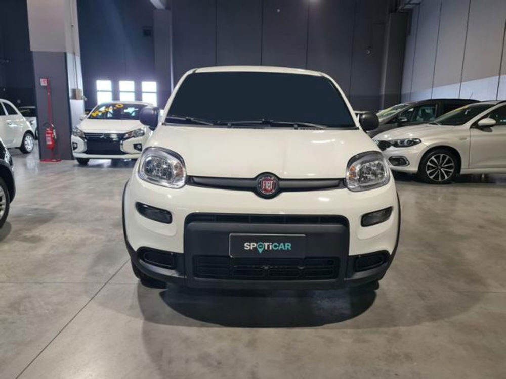 Fiat Panda nuova a Torino (2)