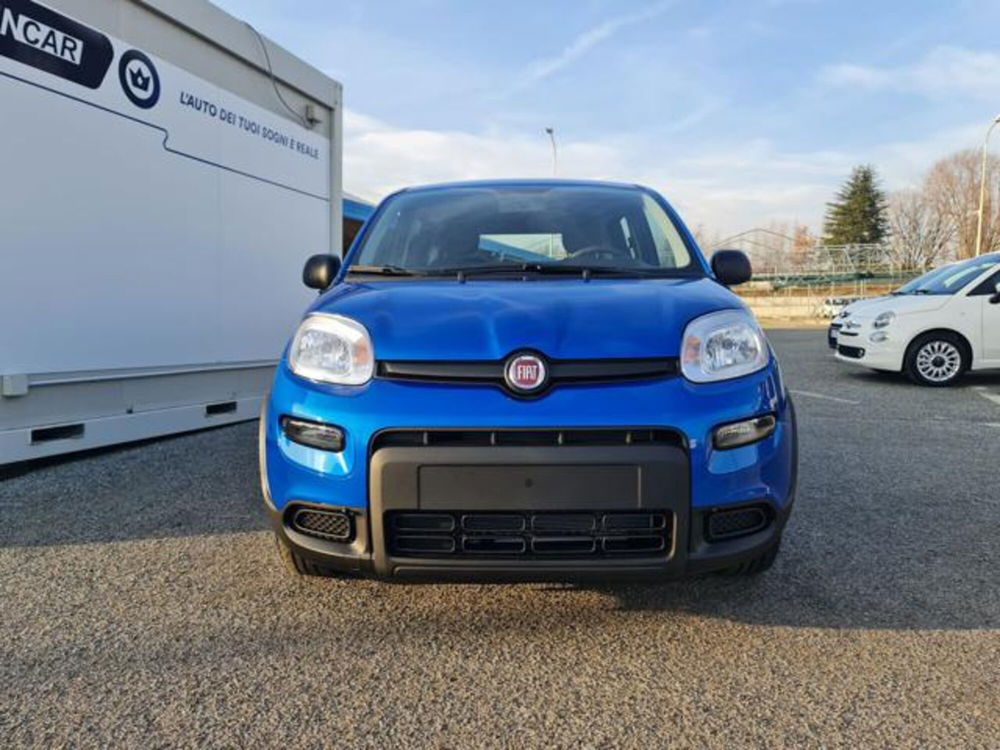 Fiat Panda nuova a Torino (2)