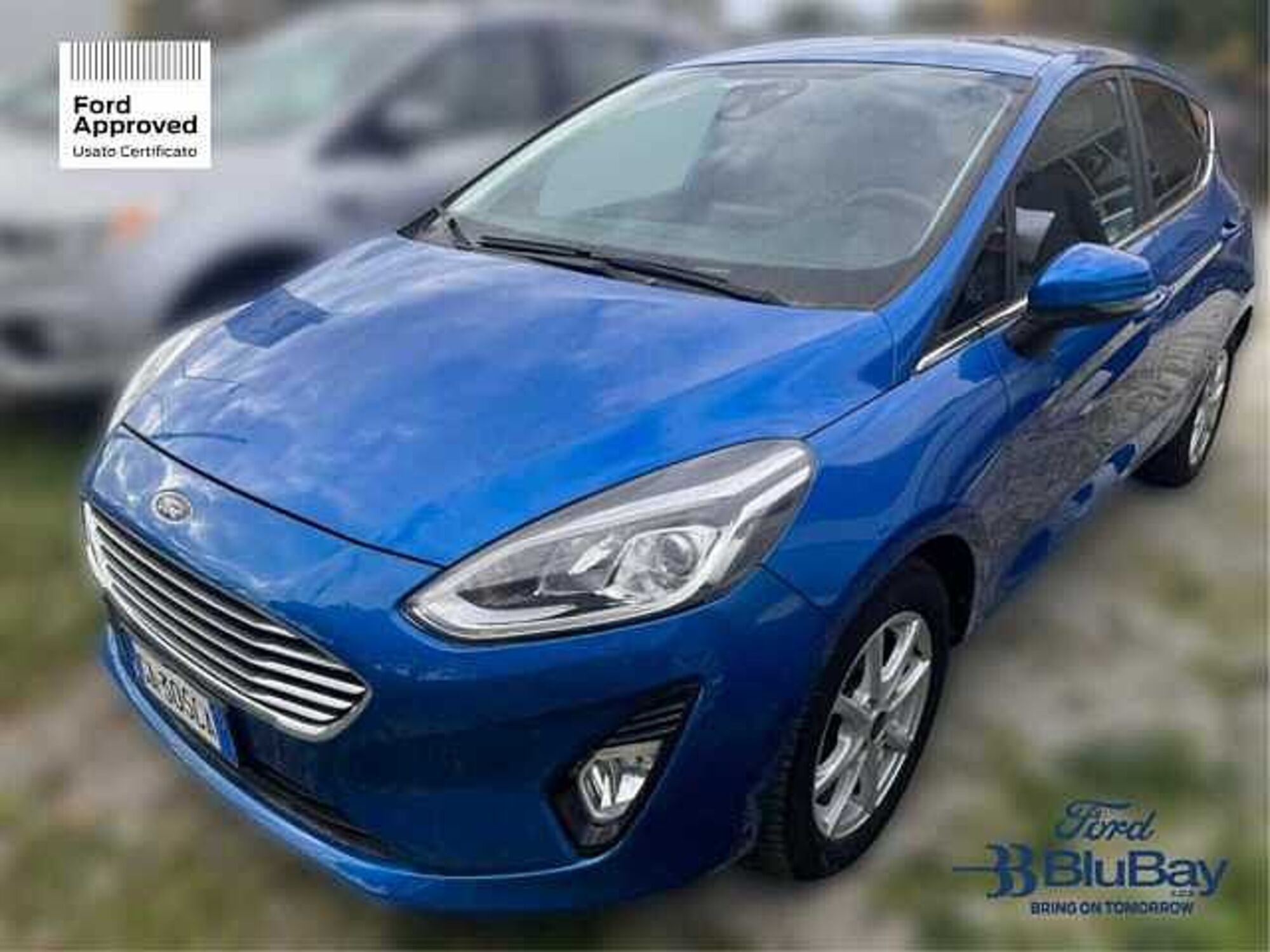 Ford Fiesta 1.5 EcoBlue 5 porte Titanium  del 2020 usata a Livorno