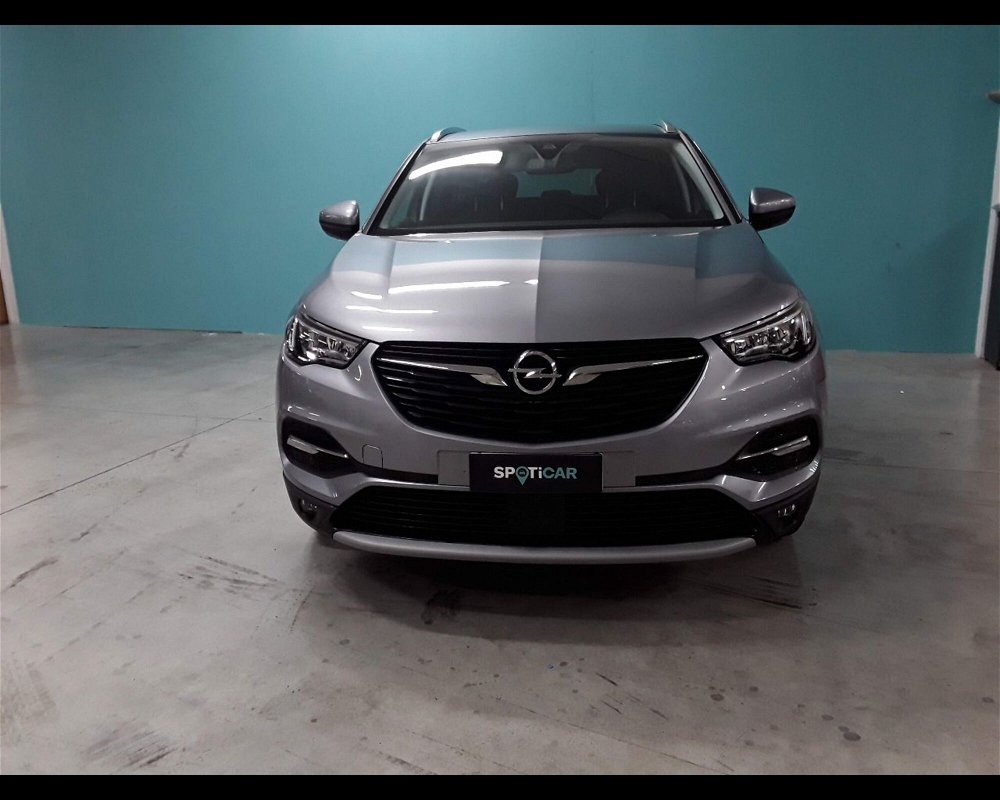 Opel Grandland X 1.5 diesel Ecotec Start&Stop Innovation del 2020 usata a Silvi (2)