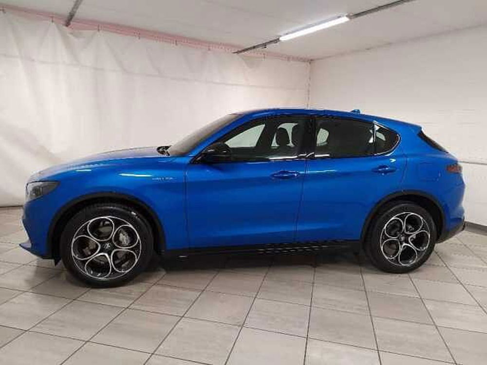 Alfa Romeo Stelvio nuova a Cuneo (4)