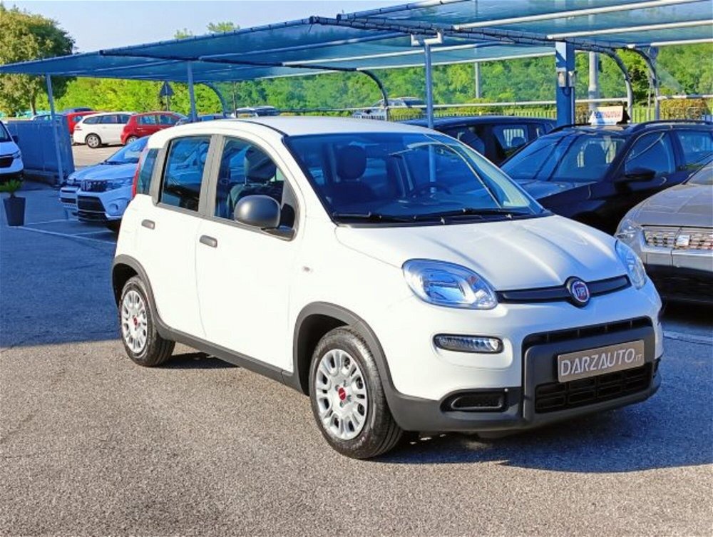 Fiat Panda 1.0 FireFly S&S Hybrid  nuova a Desenzano del Garda (3)